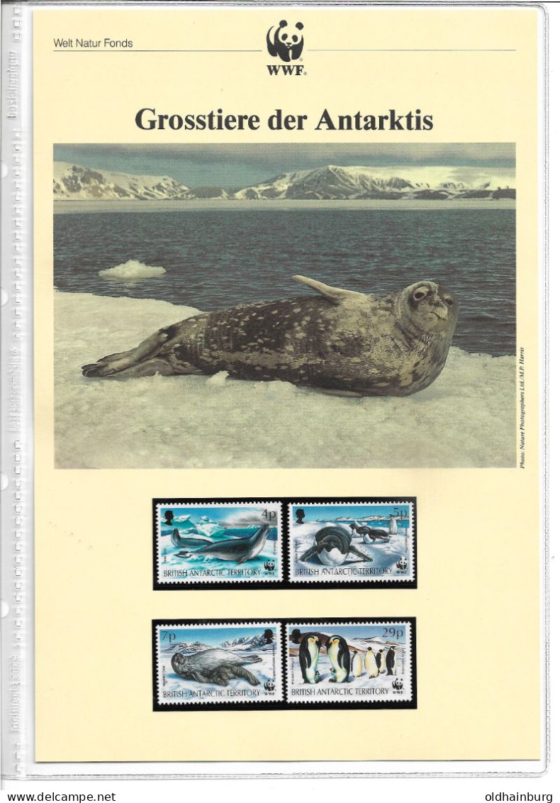 1121c: British Antarctic Territory, WWF- Ausgabe Tiere Der Antarktis, 4- Teilige Serie **/ FDC/ Maximumkarten (3 Scans) - Covers & Documents