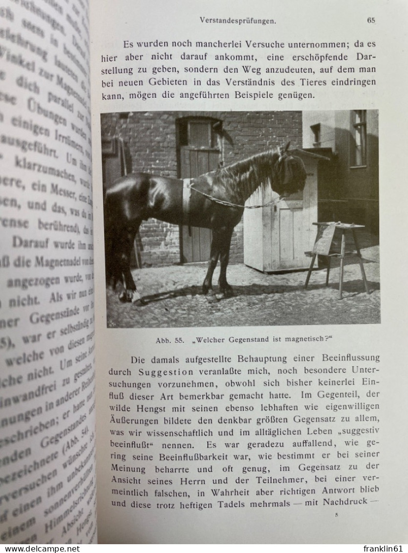 Denkende Tiere. Beiträge zur Tierseelenkunde auf Grund eigener Versuche.