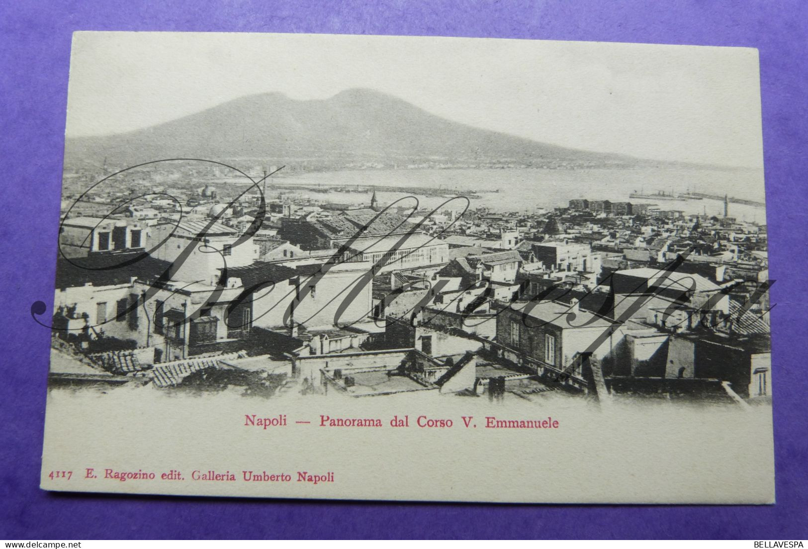 Napoli Panorama Dal Corso V. Emmanuele  N° 4117 - Venezia (Venedig)