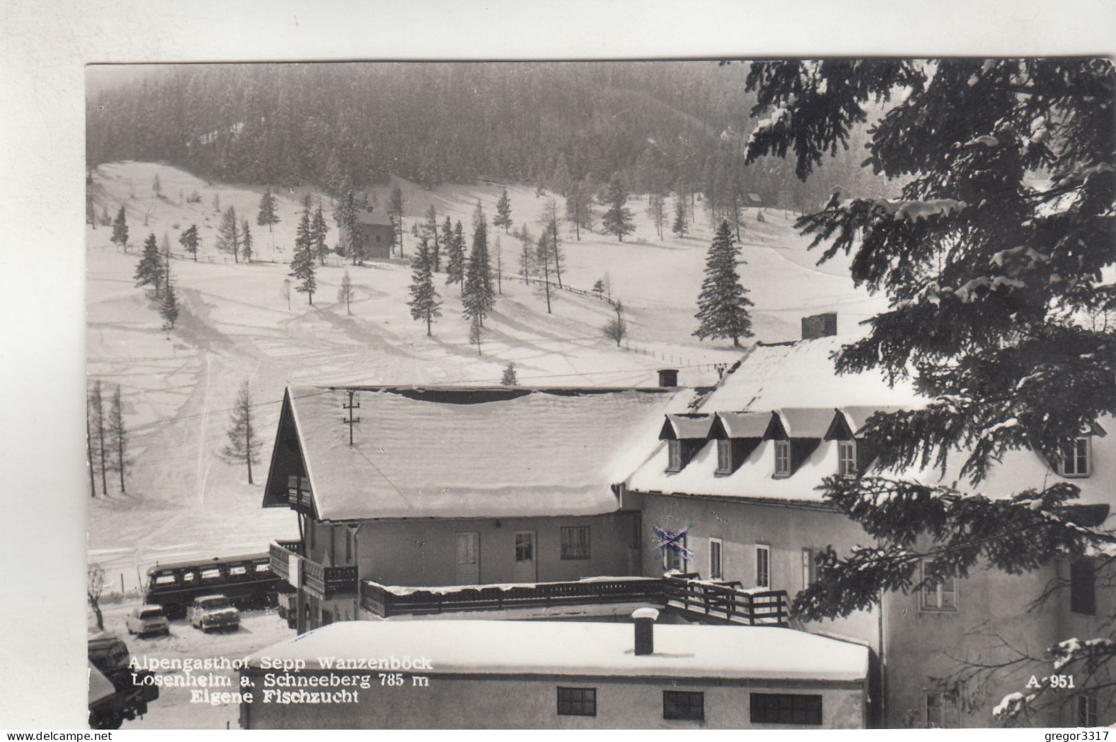 C9568) LOSENHEIM Am Schneeberg - Alpengasthof SEPP WANZENBÖCK - Verschneit Mit Alten AUTOS - Schneeberggebiet