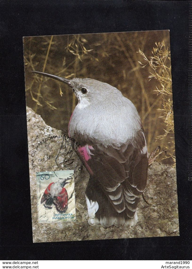 REPUBLIC OF MACEDONIA, CARTE MAXIMUM, MICHEL 333 - BIRDS-Tichodroma Muraria + - Piciformes (pájaros Carpinteros)