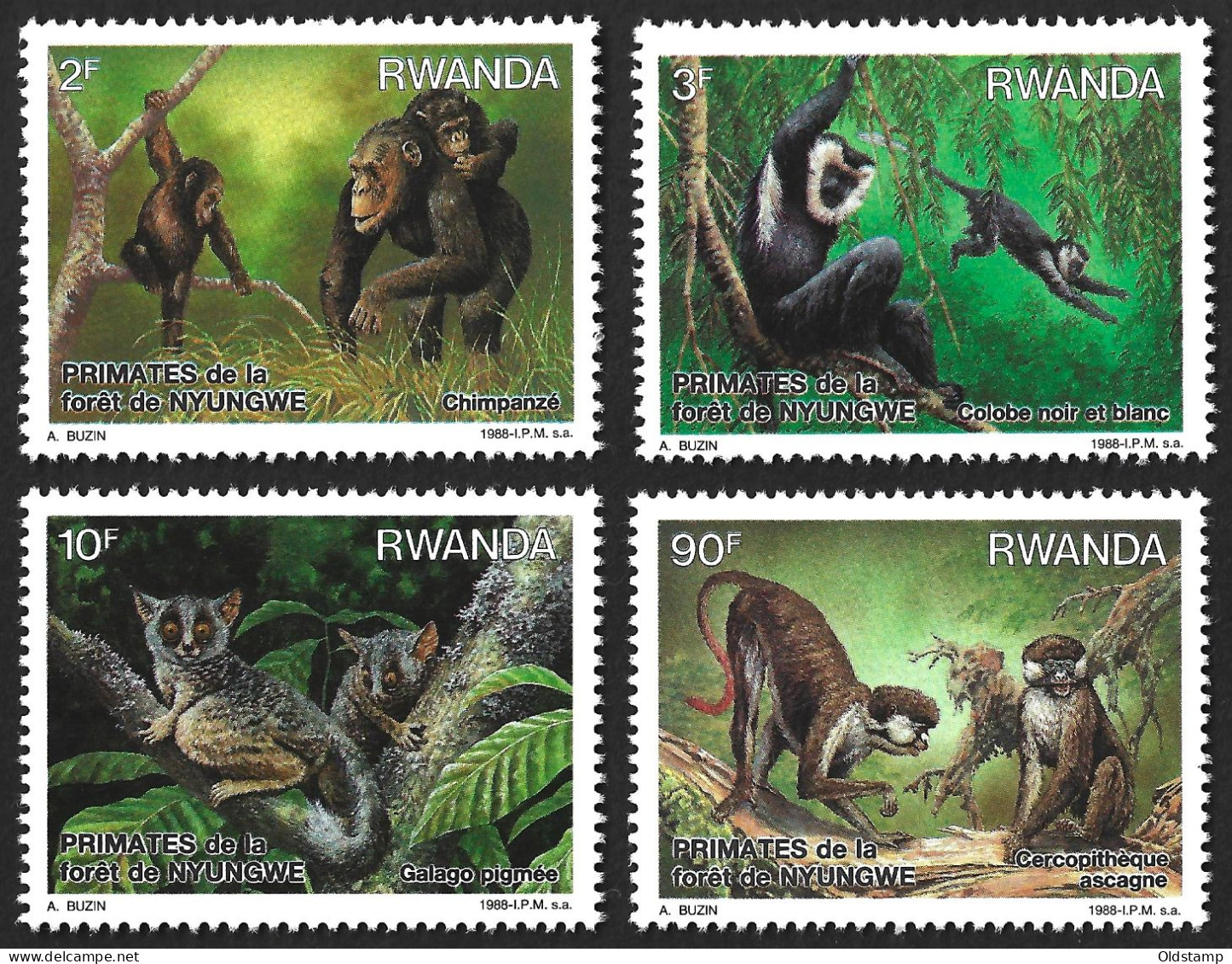 ANIMALS Rwanda 1988 Monkeys MNH Full Set Chimpanzee Primates Animaux Tiere Animales 動物 동물 Affen Mono Guenon - Monkeys