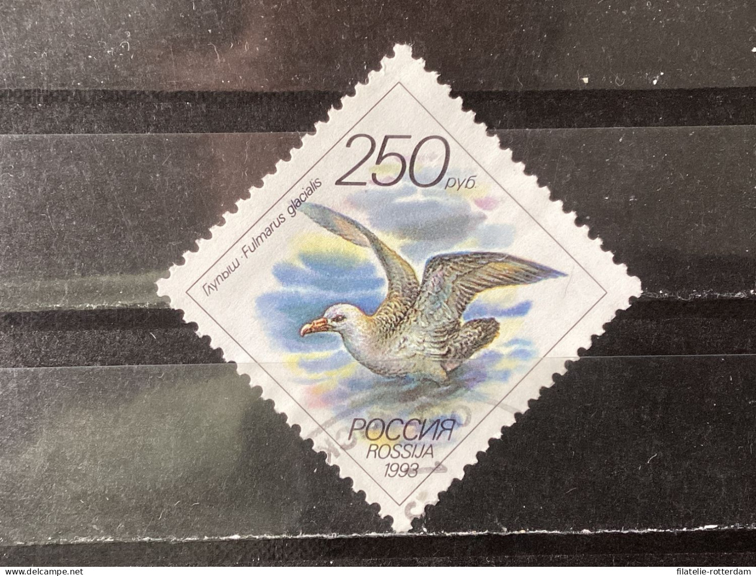 Russia / Rusland - Birds (250) 1993 - Usados