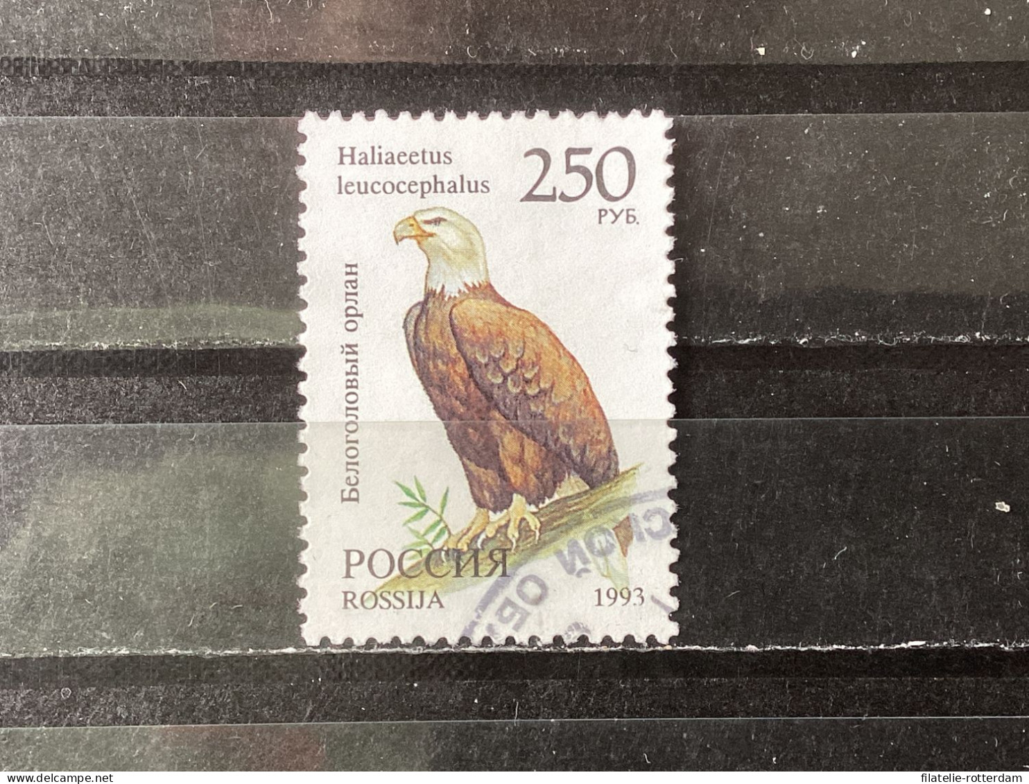 Russia / Rusland - Birds (250) 1993 - Used Stamps