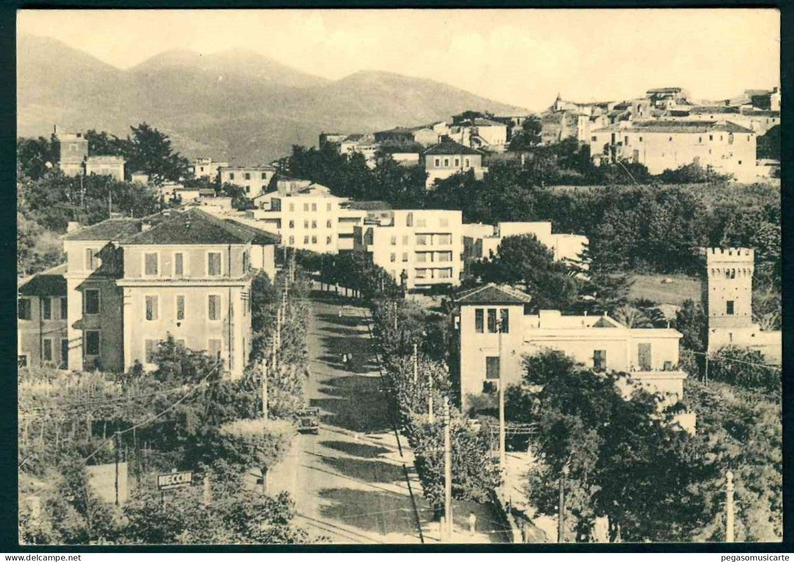 VXB031 - VELLETRI VIALE ROMA E PANORAMA PARZIALE - 1950 CIRCA ROMA - Velletri