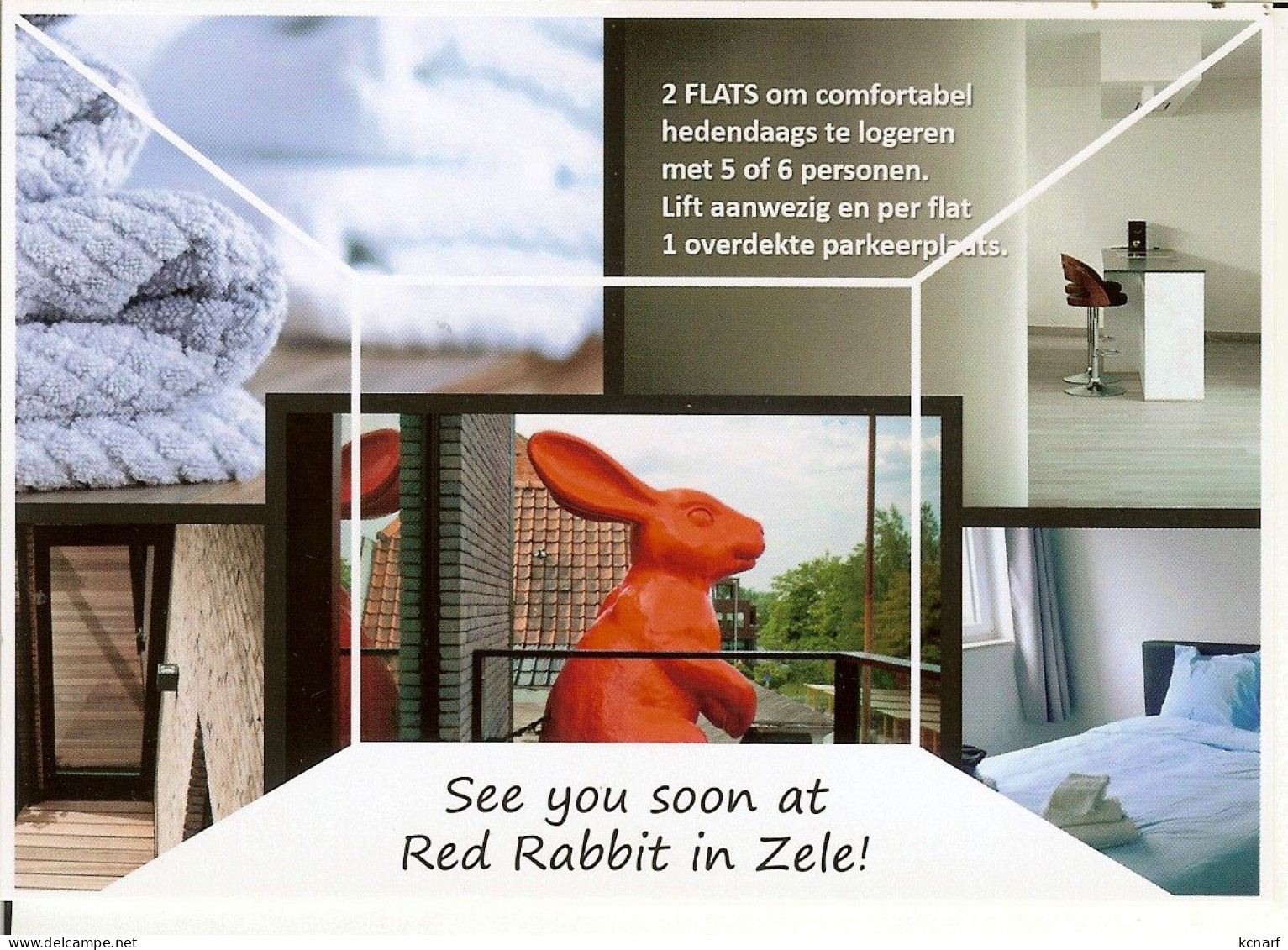 CP De ZELE " Red Rabbit " - Zele