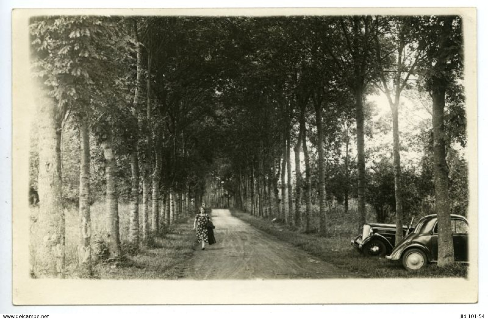 Vert Le Petit - L'allée Des Soupirs - Vert-le-Petit