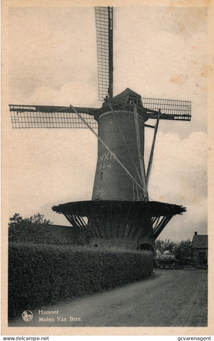 HAMONT   MOLEN VAN BREE          2 SCANS - Hamont-Achel