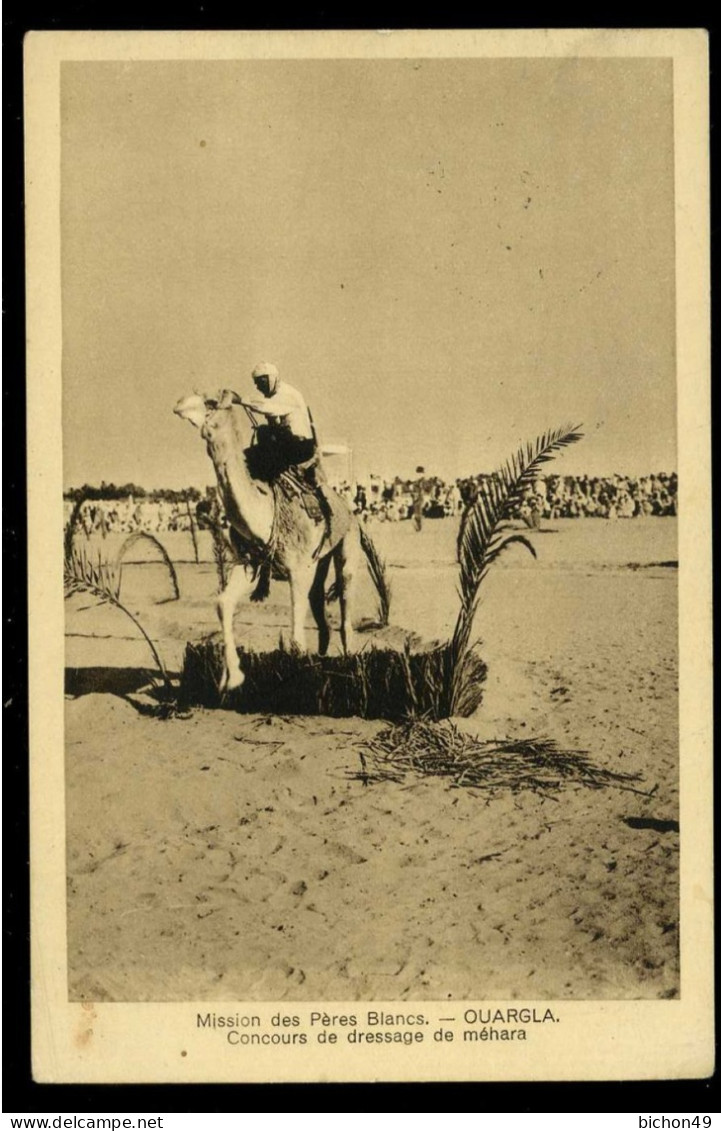 Ouargla Concours De Dressage De Méhara Mission Des Pères Blancs 1re Compagnie Saharienne Portée Du Groupe Sud - Ouargla