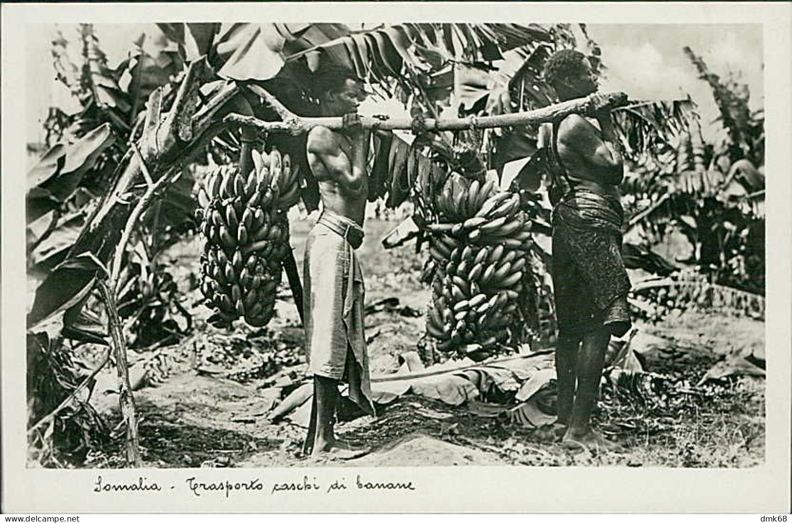 SOMALIA  - CARRYNG BANANAS - EDIT TRALDI - 1930s  (11945) - Somalie