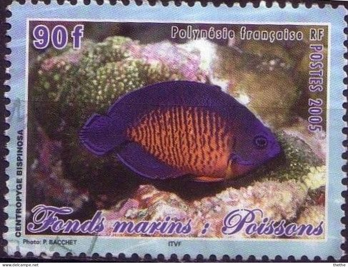 POLYNESIE - Poisson-ange à Deux Doigts (Centropyge Bispinosus) - Used Stamps