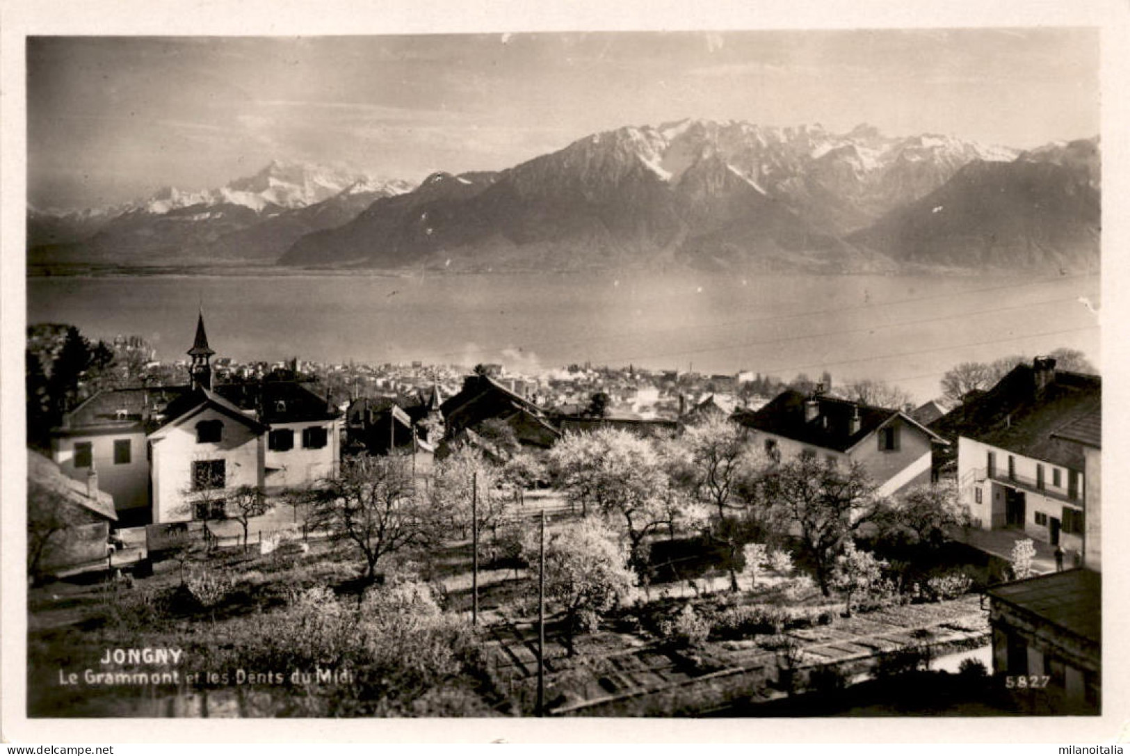 Jongny - Le Grammont Et Les Dents Du Midi (5827) * 21. 6. 1932 - Jongny