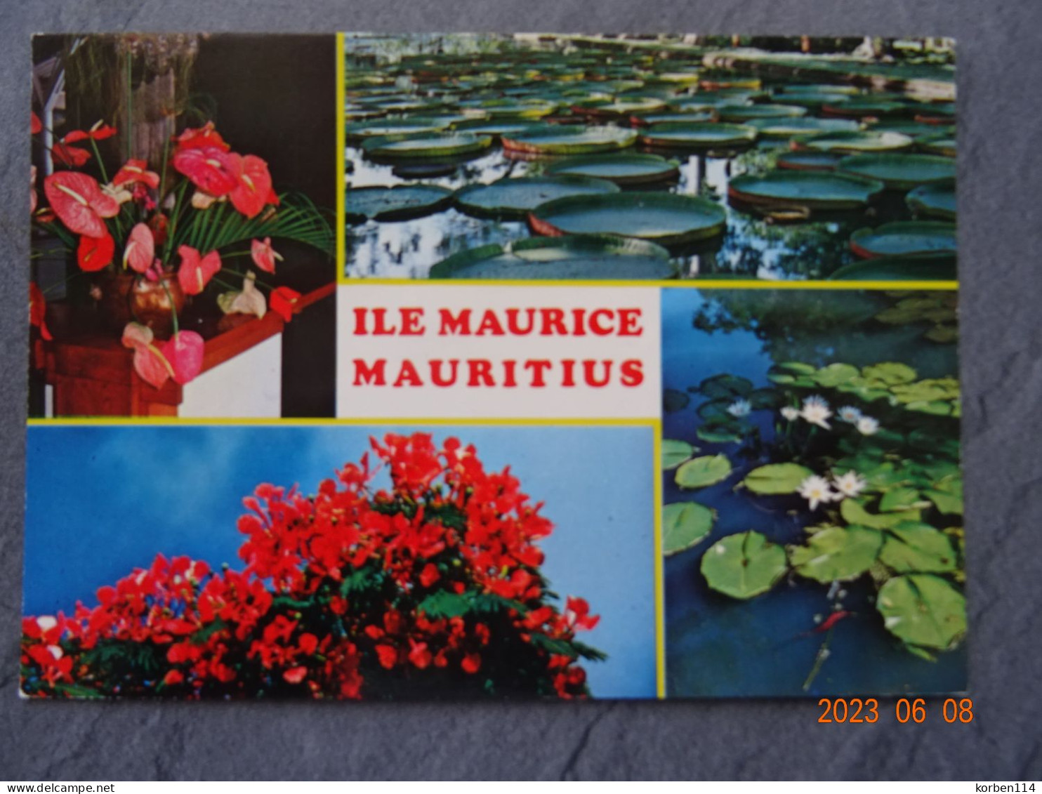 FLEURS TROPIQUES - Maurice