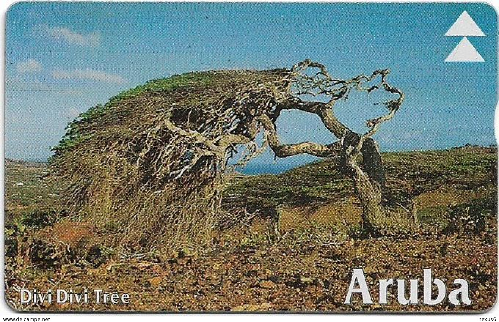 Aruba - Setar - L&G - Divi Divi Tree II - 609A - 09.1996, 20U, Used - Aruba
