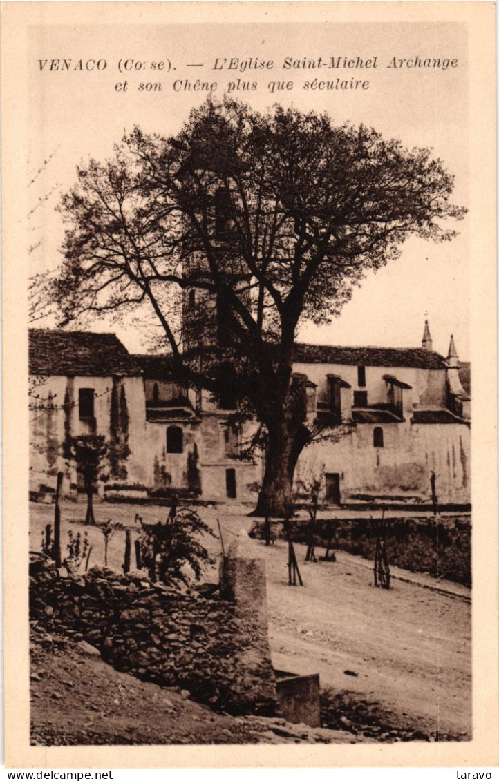 CORSE - VENACO - Eglise St Michel Archange Et Son Chêne Plus Que Séculaire - Autres & Non Classés