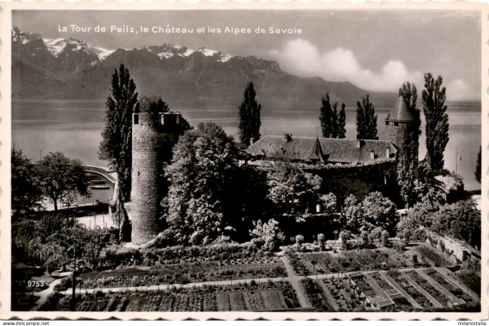 La Tour De Peilz, Le Chateau Et Les Alpes De Savoie (9753) - La Tour-de-Peilz