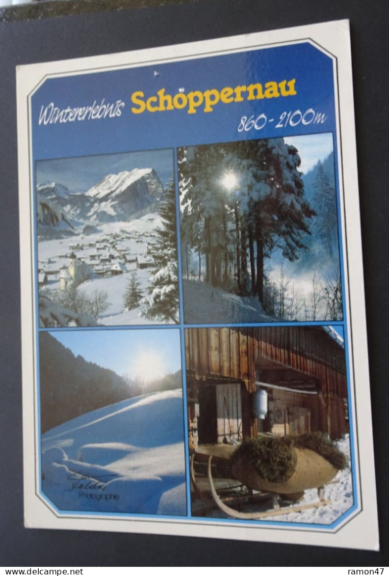 Schoppernau Wintererlebnis 860-2100 M - Foto Felder, Mellau - # 257 - Bregenzerwaldorte