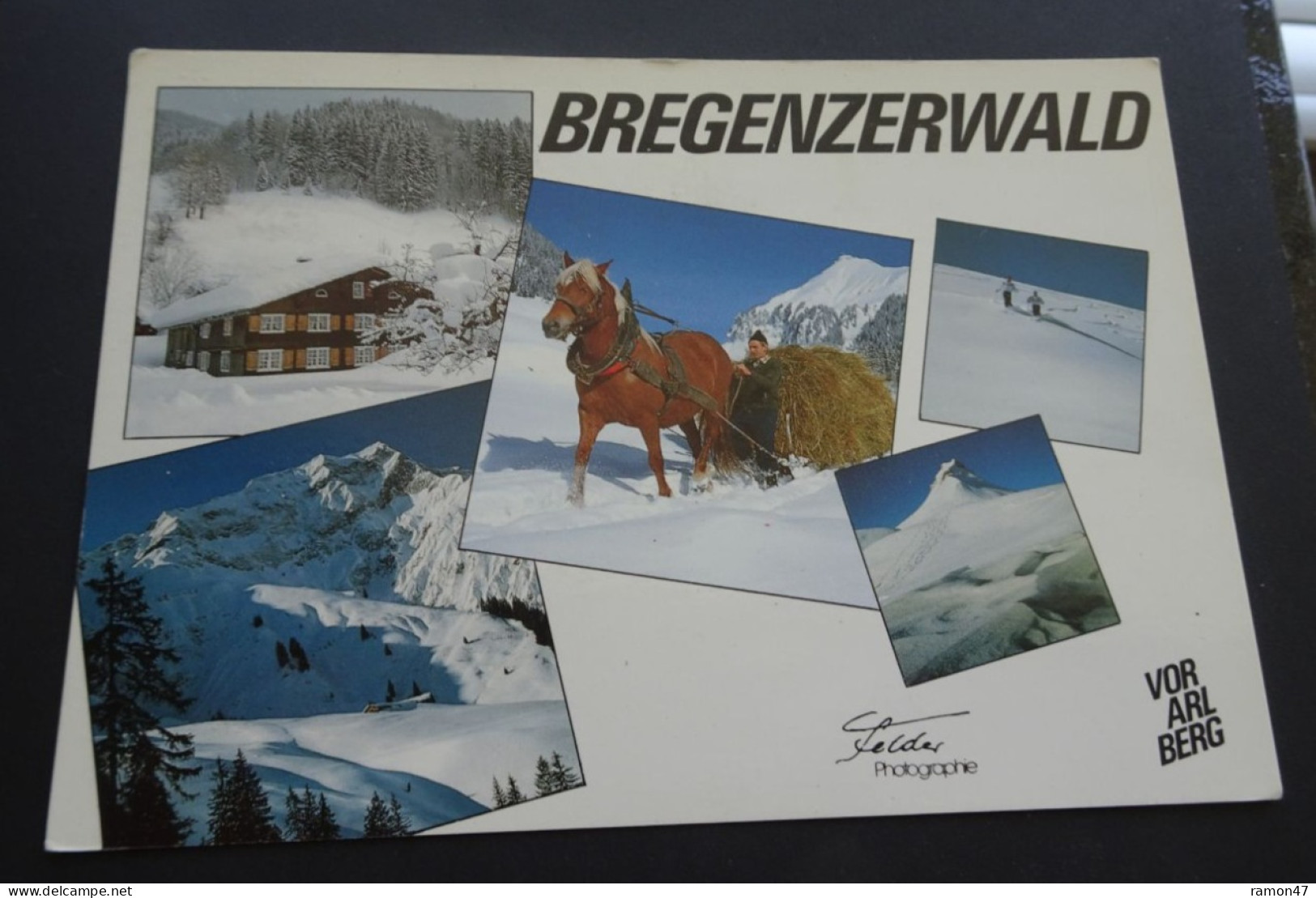 Bregenzerwald - Wintertraum - Bregenzerwälder Prospekt- Und Ansichtskartenverlag Foto Felder, Mellau - Bregenzerwaldorte