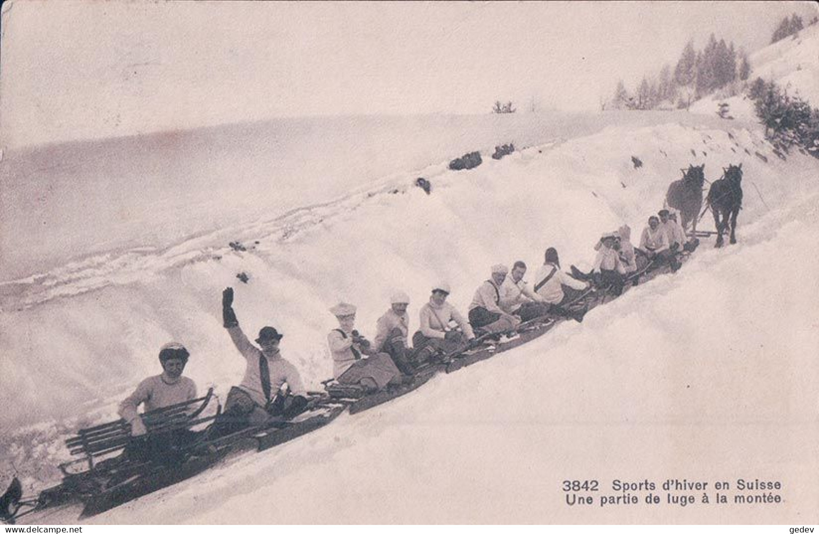 Sport D'hiver, Une Partie De Luge à La Montée, Attelage De 2 Chevaux (3842) - Sports D'hiver