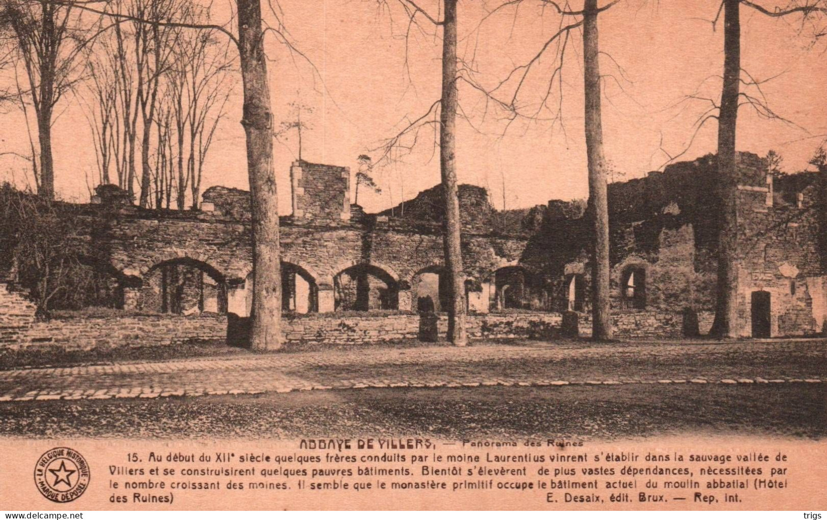 Abbaye De Villers - Panorama Des Ruines - Villers-la-Ville