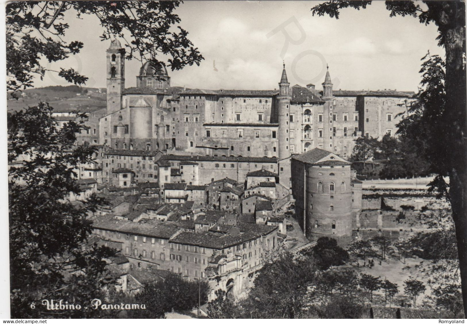 CARTOLINA  URBINO,MARCHE-PANORAMA-STORIA,MEMORIA,CULTURA,RELIGIONE,IMPERO ROMANO,BELLA ITALIA,VIAGGIATA 1956 - Urbino