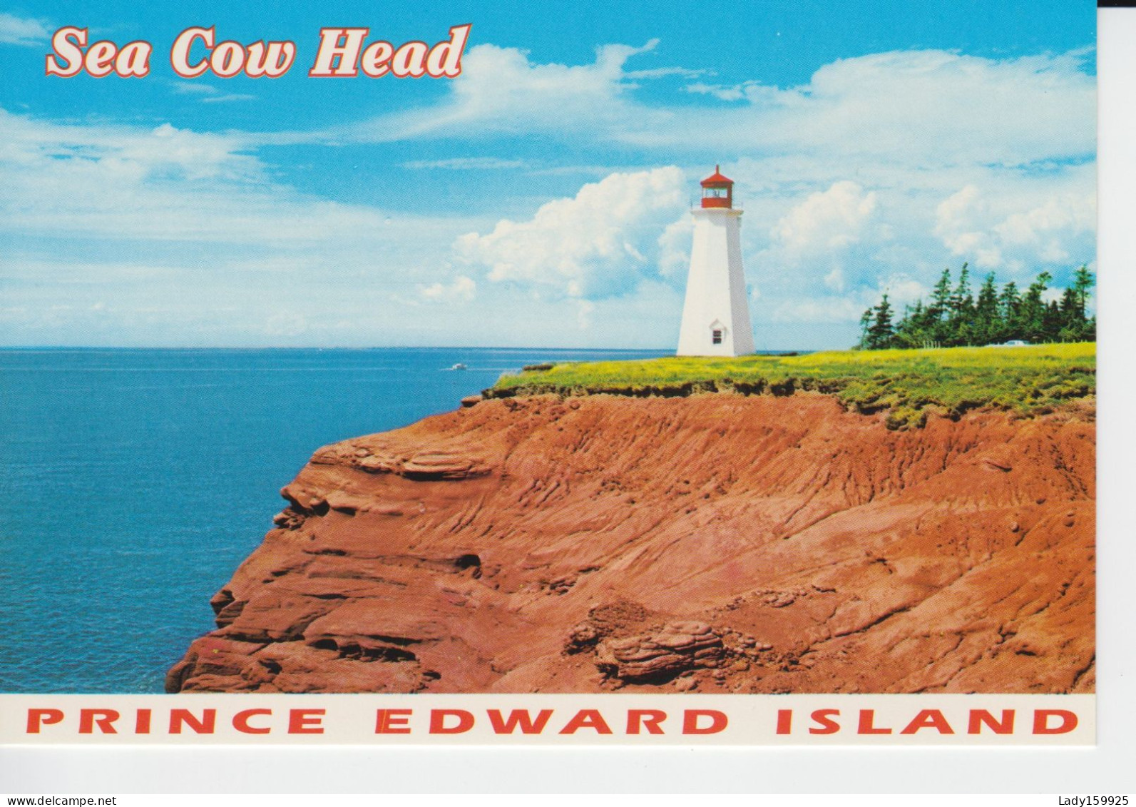 Sea Cow Head  Prince Edward Island Canada Phare, Blanc Et Rouge. Falaise  Roches Rouge, Océan Atlantique Lighthouse - Modern Cards