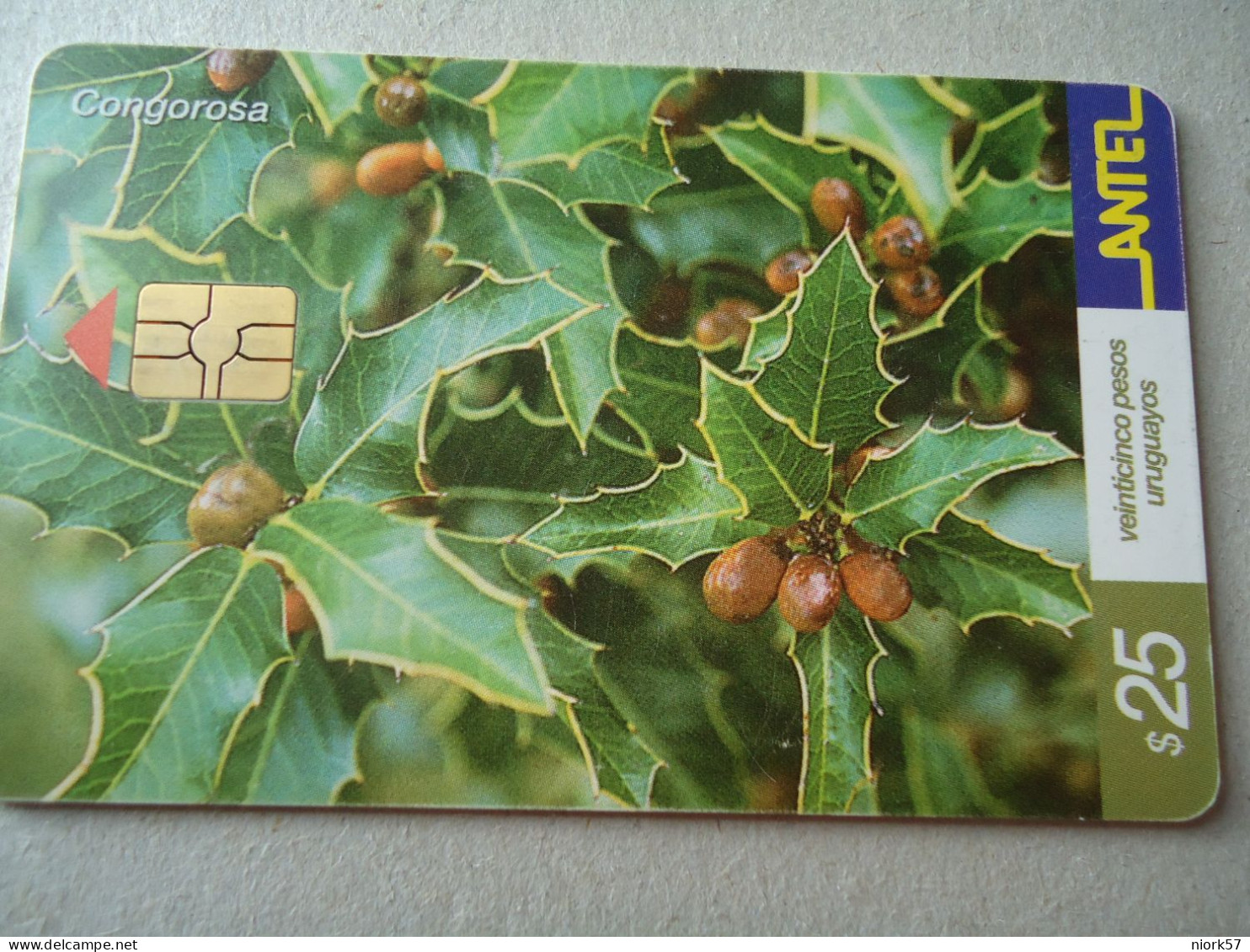 URUGUAY  USED CARDS  FLOWERS PLANTS   UNITS 25 - Fiori