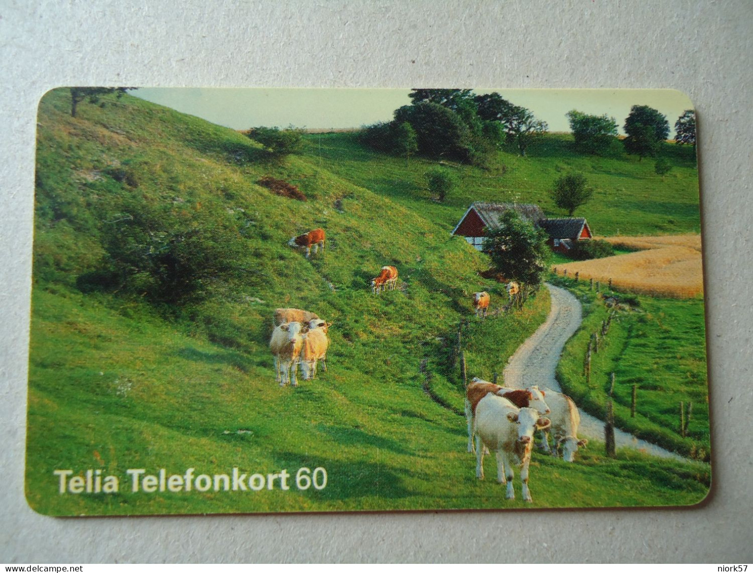 SWEDEN  USED CARDS ANIMALS COWS - Koeien