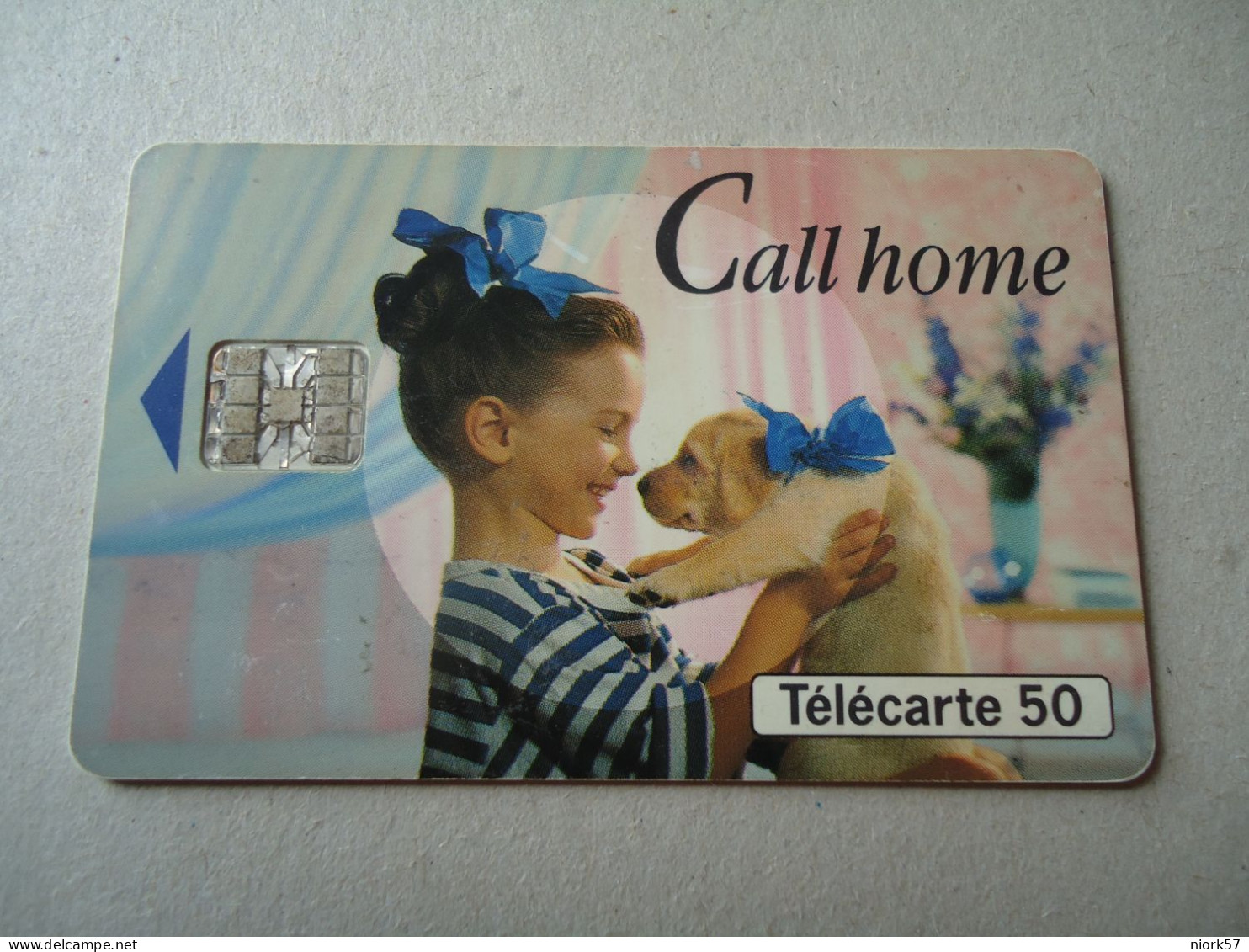 FRANCE  USED CARDS DOGS - Perros