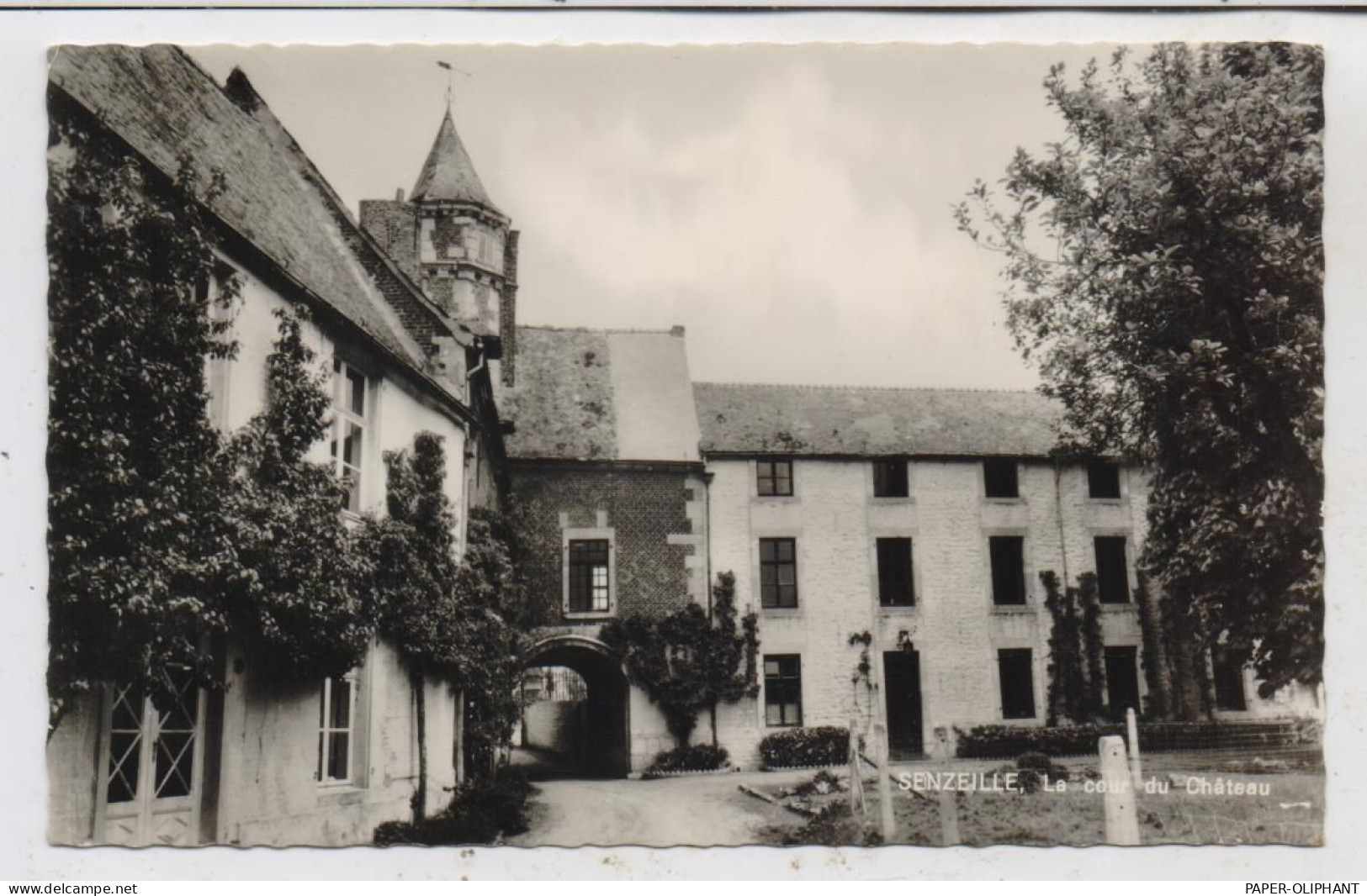 B 5630 CERFONTAINE - SENZEILLE, Le Cour Du Chateau - Cerfontaine