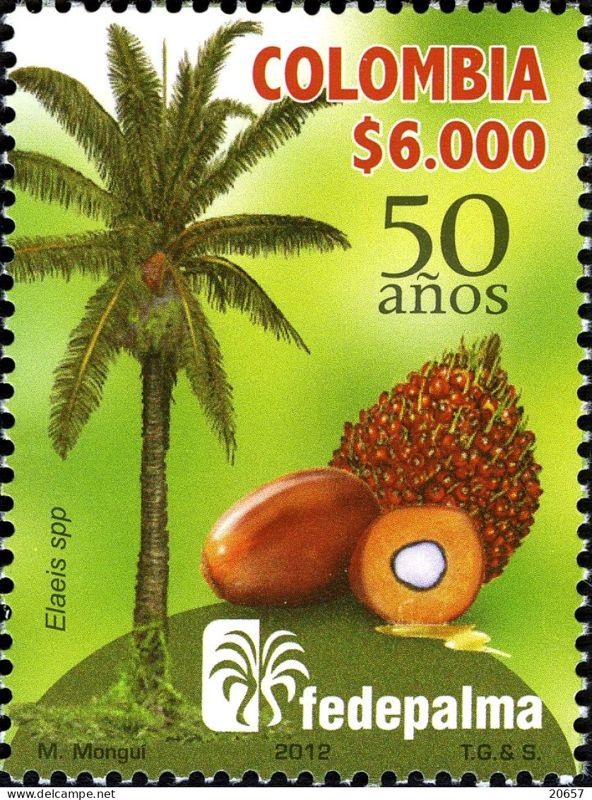 Colombie Colombia 1698 Palmier à Huile - Alimentation