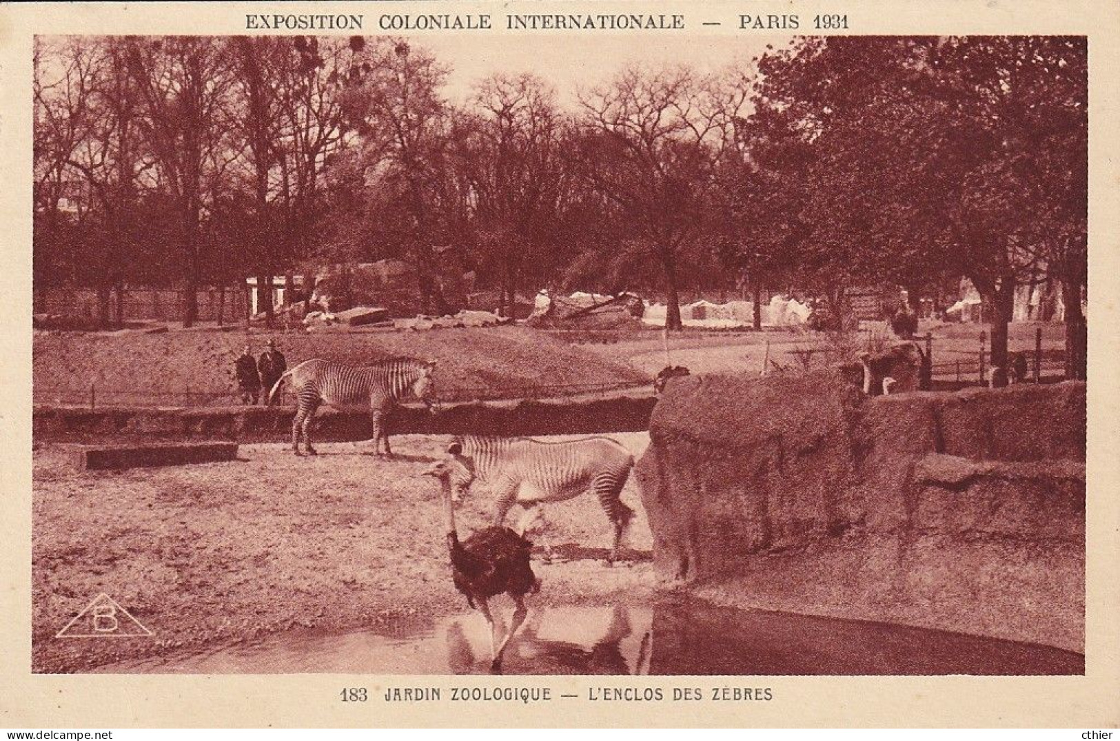 CPA  PARIS 75 - Exposition Coloniale 1931 - L'enclos Des Zébres - Zebre