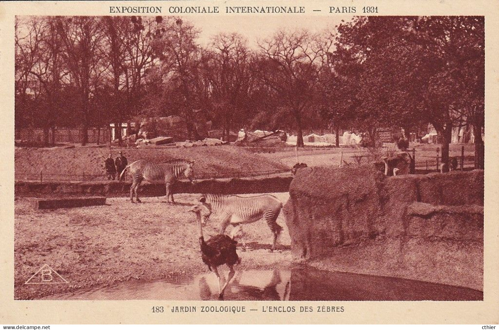 CPA  PARIS 75 - Exposition Coloniale 1931 - L'enclos Des Zébres - Cebras