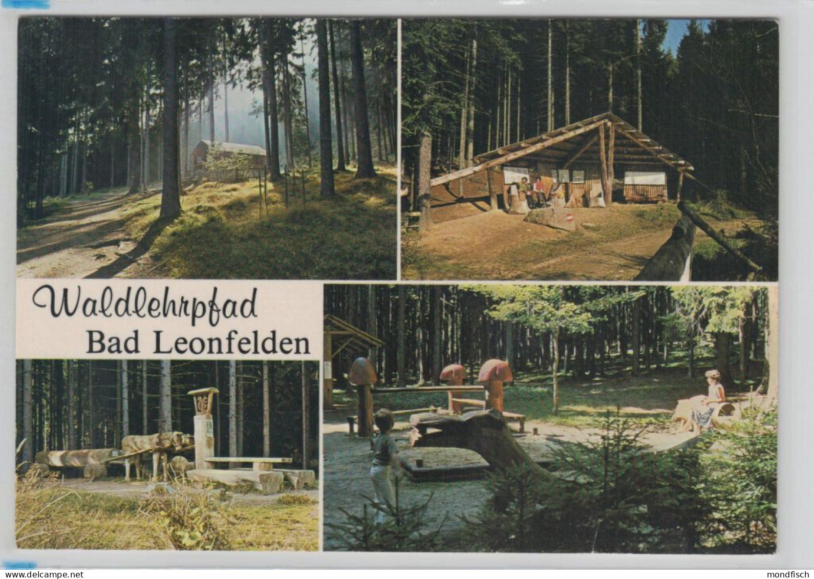 Bad Leonfelden - Waldlehrpfad - Bad Leonfelden