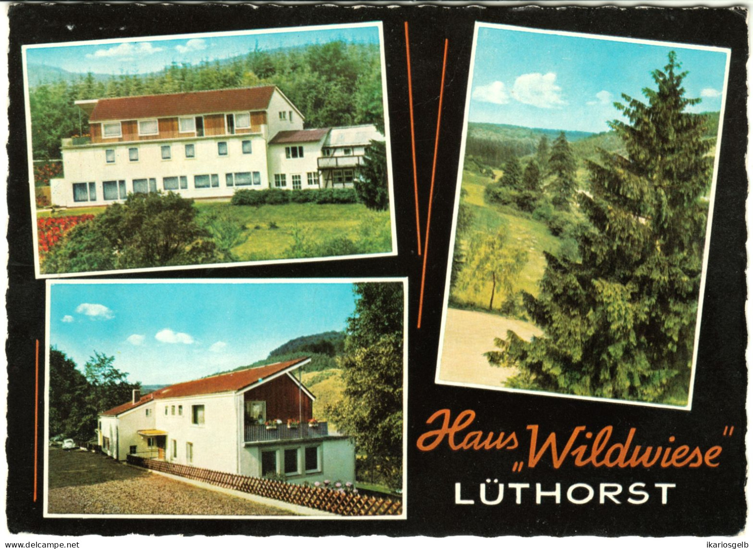 Lüthorst = Dassel Krs Northeim 1967 Private AK " Haus Wildwiese DAK Jugendgesundungsstätte " - Einbeck