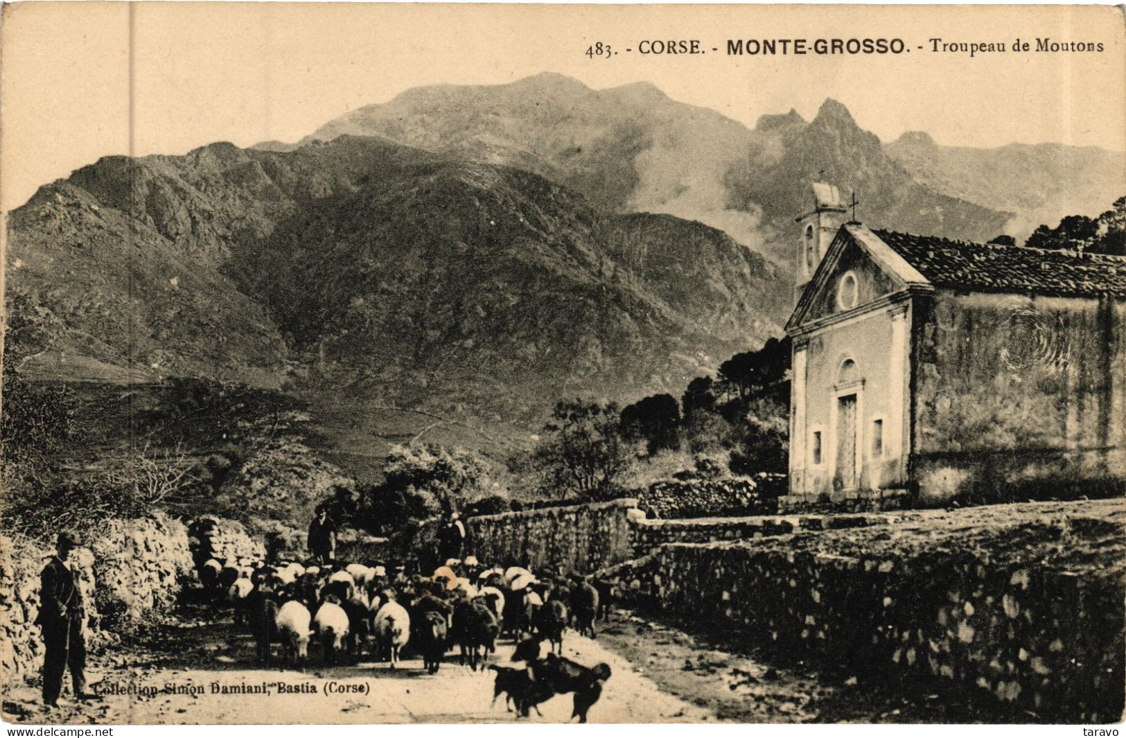 CORSE - MONTEGROSSO  (MONTEMAGGIORE) - Berger Et Son Troupeau Devant La Chapelle Saint-Ignace - Autres & Non Classés