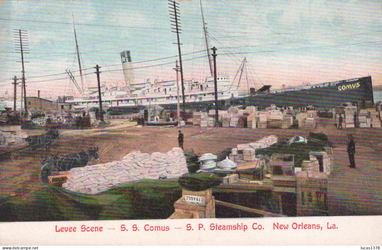 NEW ORLEANS / LEVEE SCENE / SS COMUS / - New Orleans