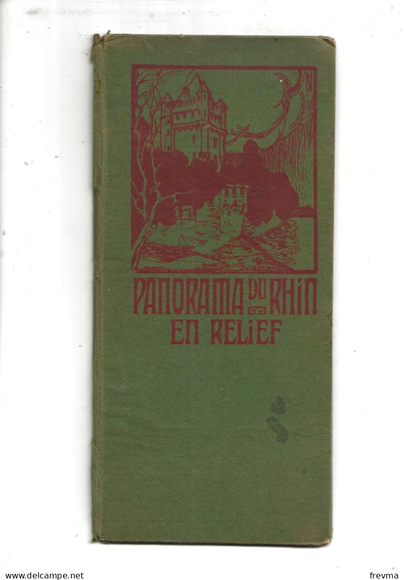 Panorama Du Rhin En Relief Longueur De La Carte 1.72m - Nautical Charts