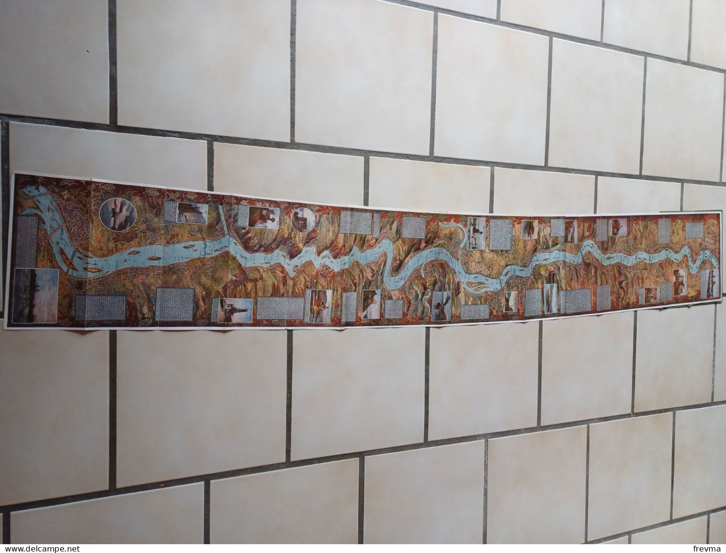 Panorama Du Rhin En Relief Longueur De La Carte 1.72m - Zeekaarten