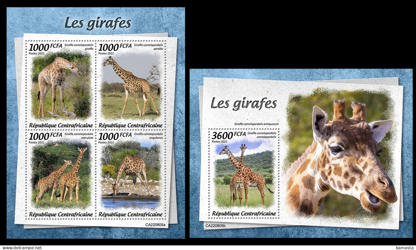 Central Africa  2022 Giraffes (805) OFFICIAL ISSUE - Jirafas