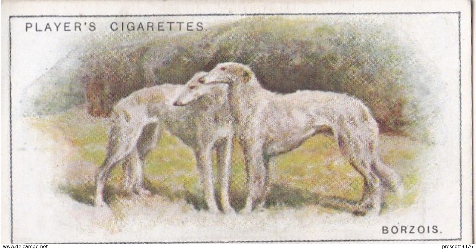 Dogs, Scenic Background 1925 - Players Cigarette Card - 3 Borzois - Player's