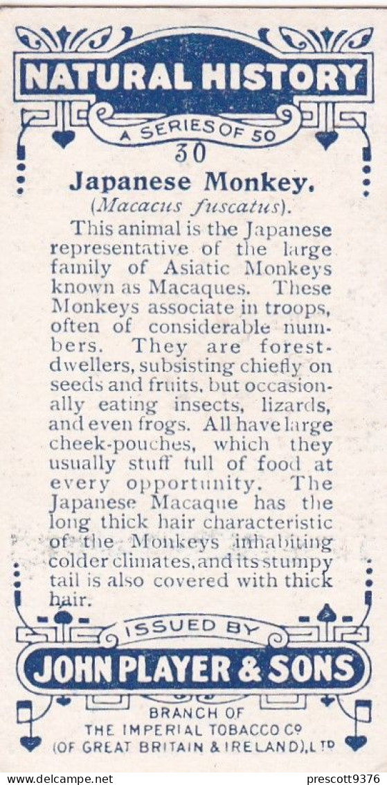 Natual History 1924 - Players Cigarette Card - 30 JAPANESE MONKEY - Player's
