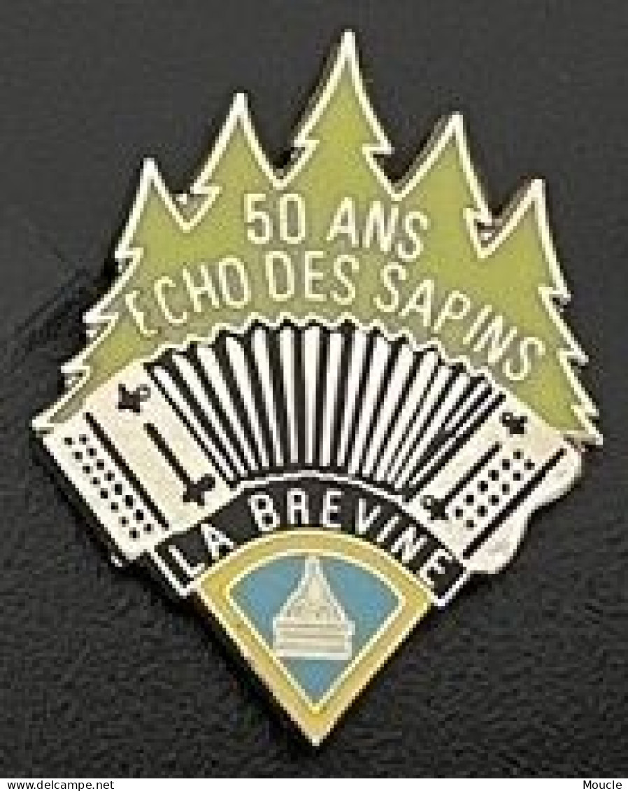 ACCORDEON - ACCORDION - AKKORDEON - 50 ANS ECHO DES SAPINS - LA BREVINE - SUISSE - SCHWEIZ - SVIZZERA -  (32) - Musique