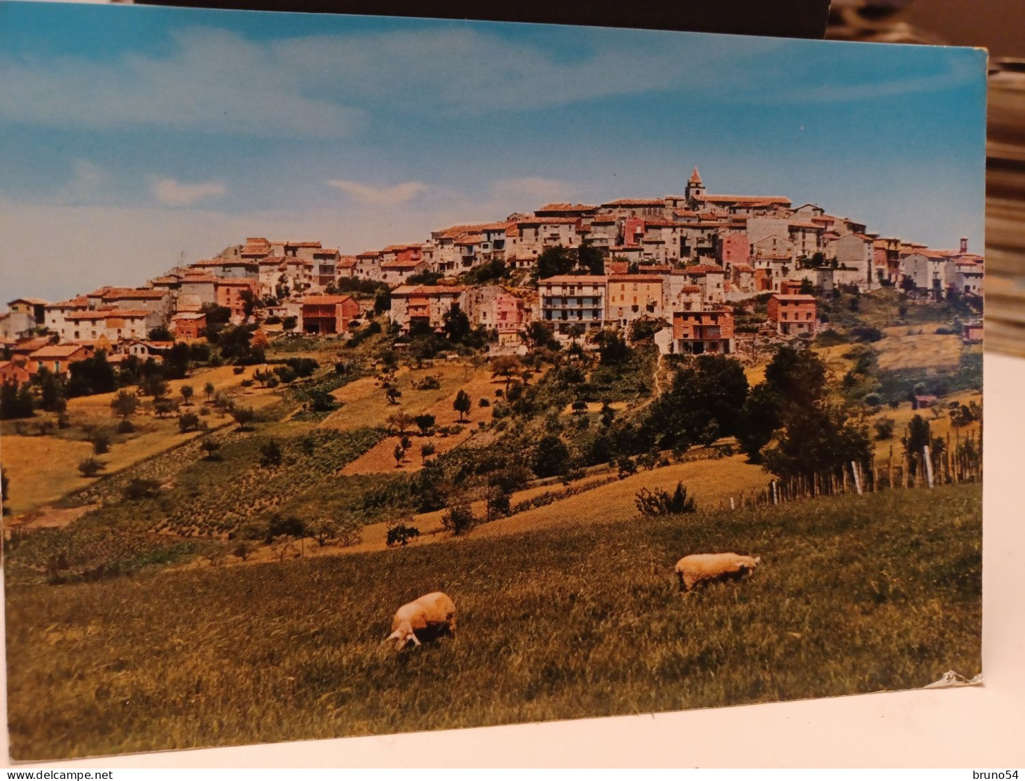 Cartolina Busso Provincia Campobasso , Panorama - Campobasso