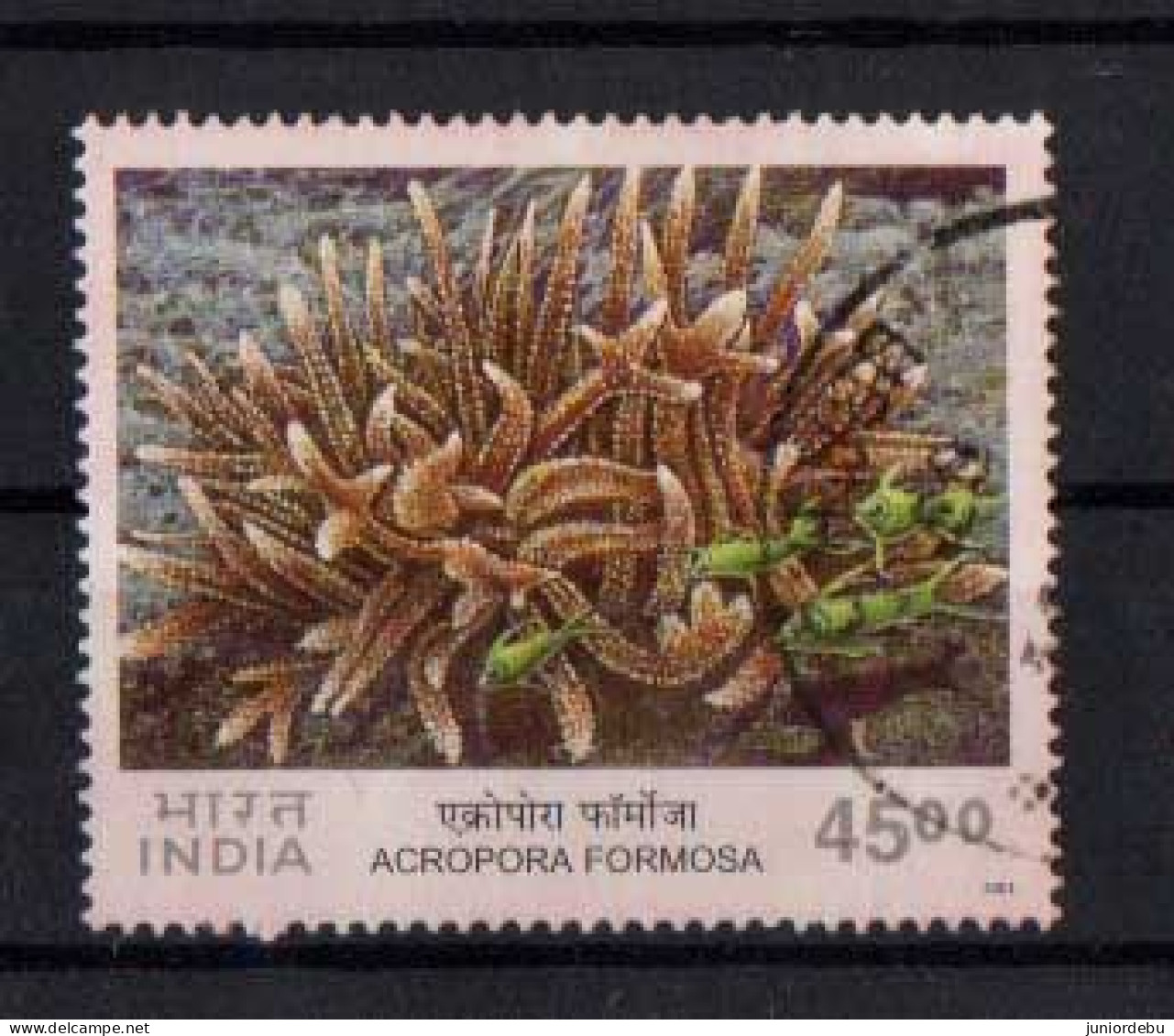 India - 2001 - Coral - Acropora Formosa - HV  -  Fine Used. - Usati