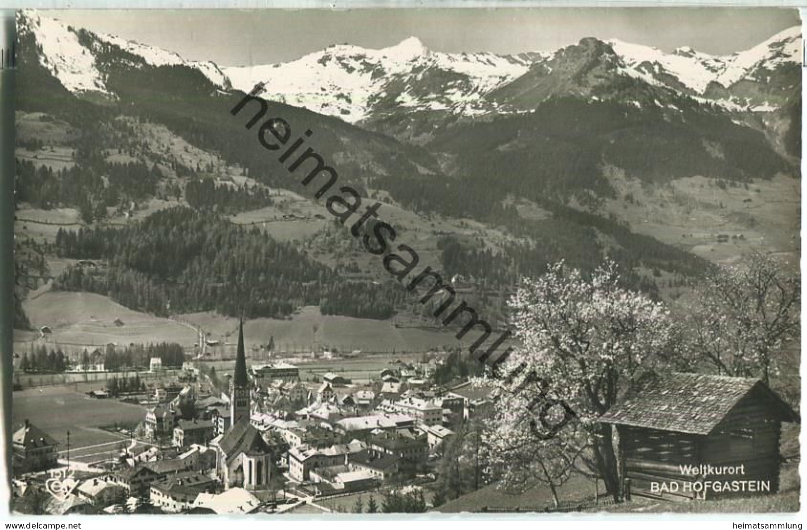 Bad Hofgastein - Foto-Ansichtskarte - Verlag Alfred Gründler Salzburg - Bad Hofgastein