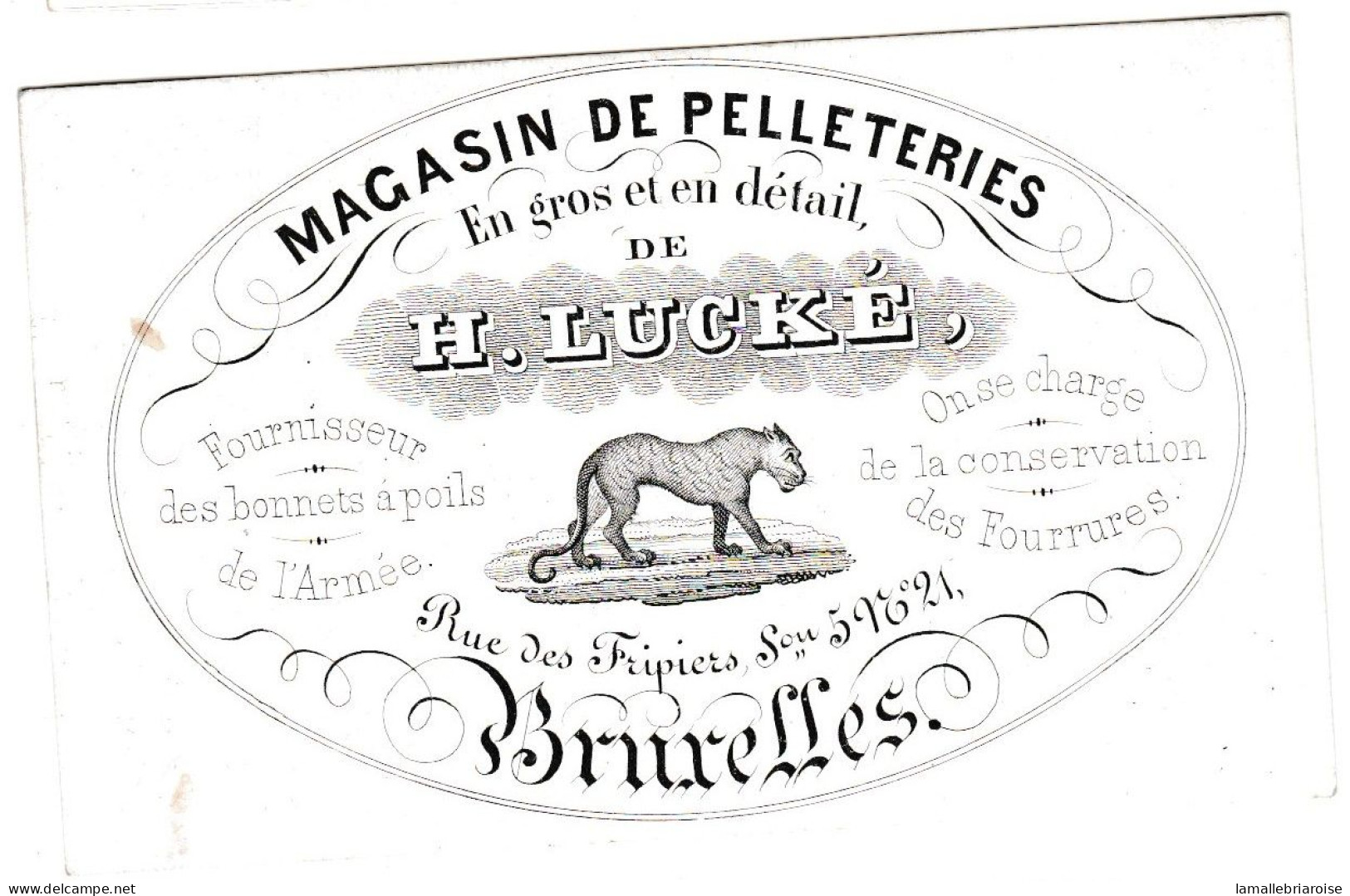 Belgique, Carte Porcelaine, Magasin De Pelleteries, H. Lucké , Bruxelles, Dim:100x62mm, - Porcelaine