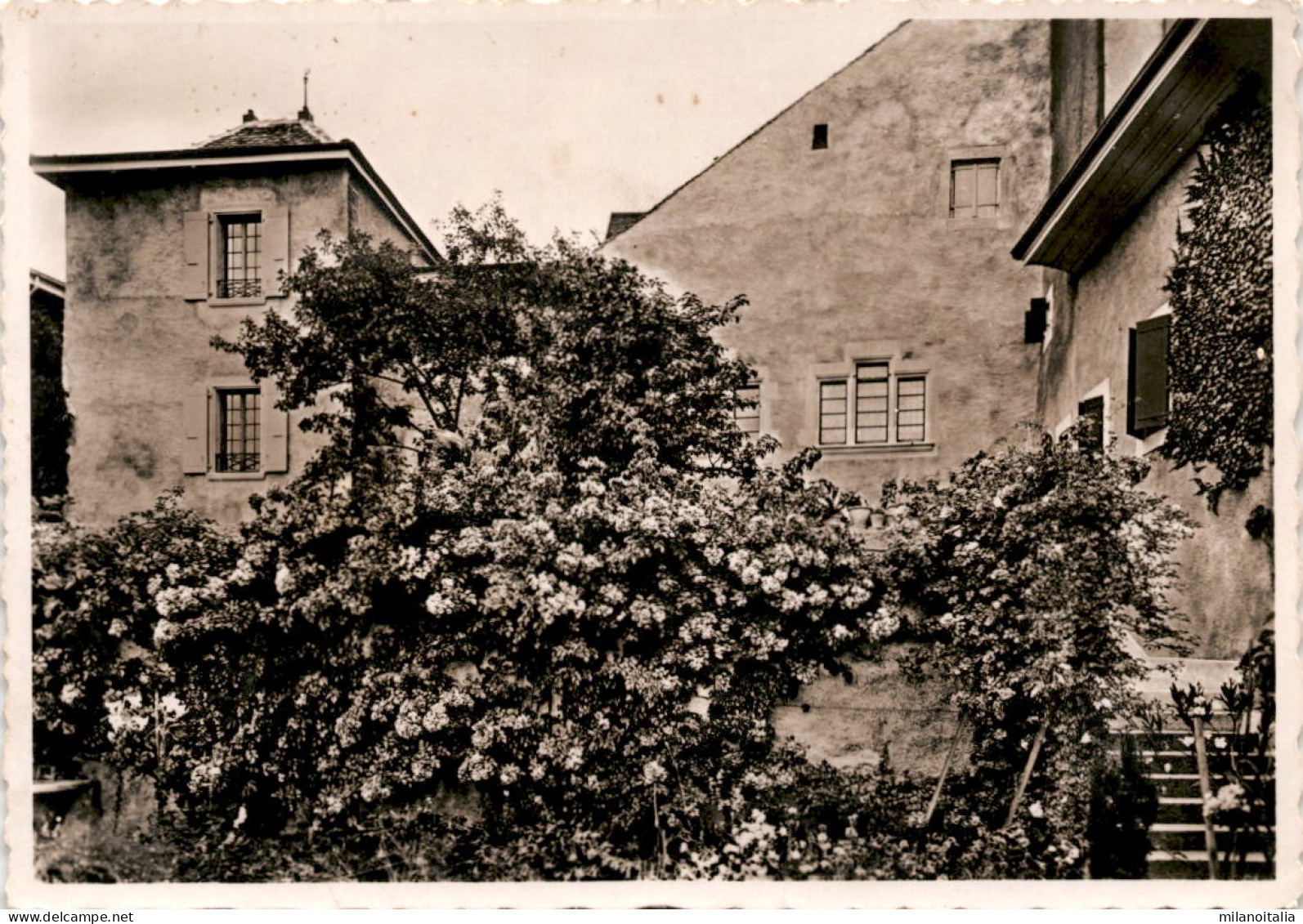 Maison Buttin-De Loes, Grandvaux  - Grandvaux