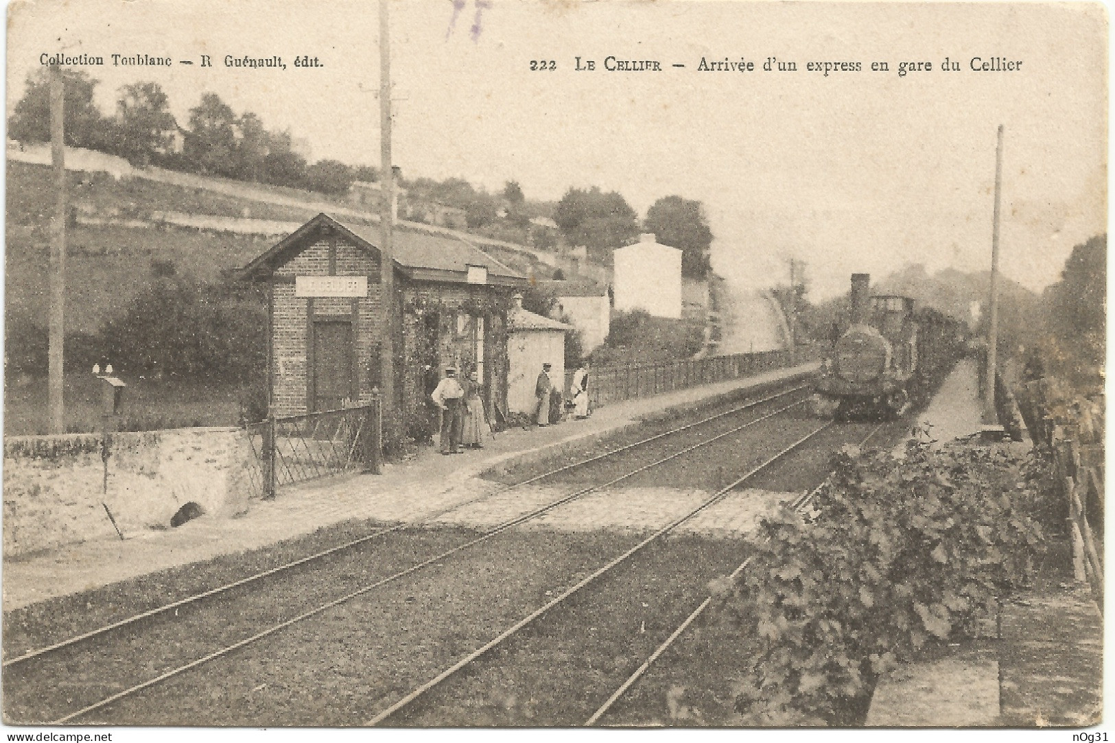 44 - Arrivée D'un Express En Gare Du Cellier - Le Cellier