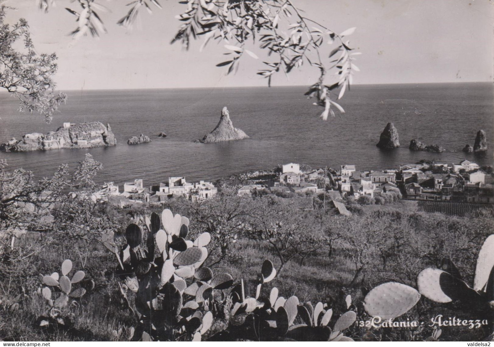 ACI TREZZA - DINTORNI DI ACI CASTELLO E ACIREALE - CATANIA - ISOLA LACHEA E FARAGLIONI - FICHI D'INDIA - 1956 - Acireale